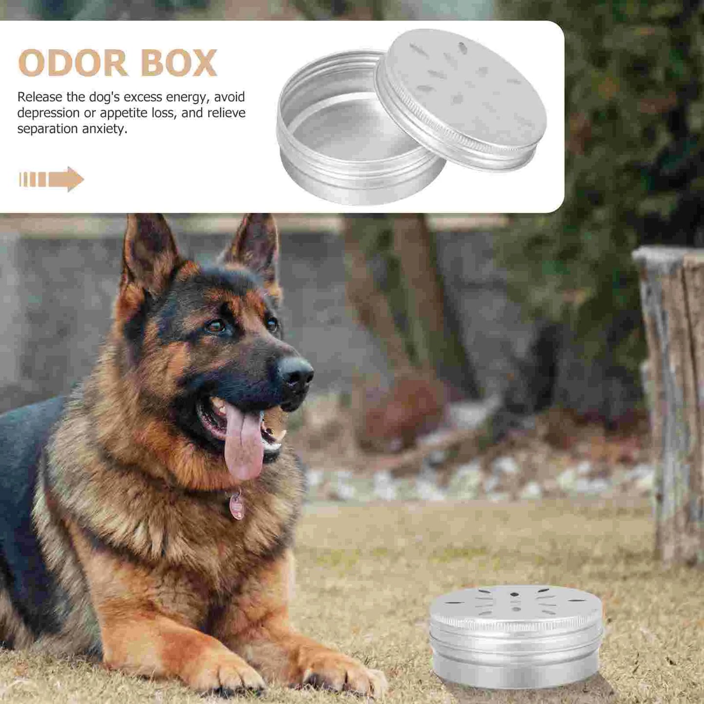 10 Pcs Dog Scent Discrimination Training Tool Nose for Metal Can Sniffle Box Hunting Dogs Supplies Holder Aluminum Kit